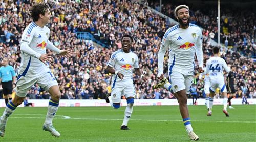 Understanding Fixed Bet 1×2: Risks and Insights